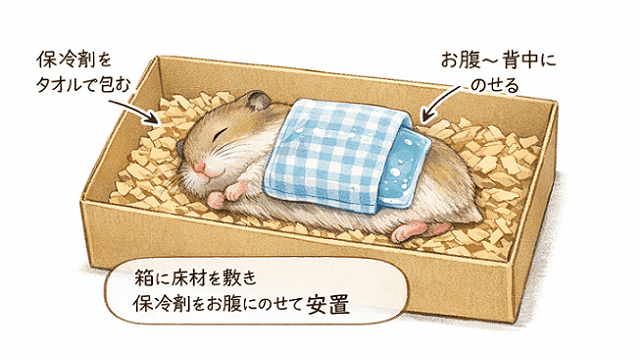 ハムスターの遺体を保冷したイラスト