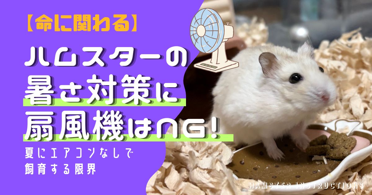 扇風機だけで暑さ対策をするリスクの記事アイキャッチ