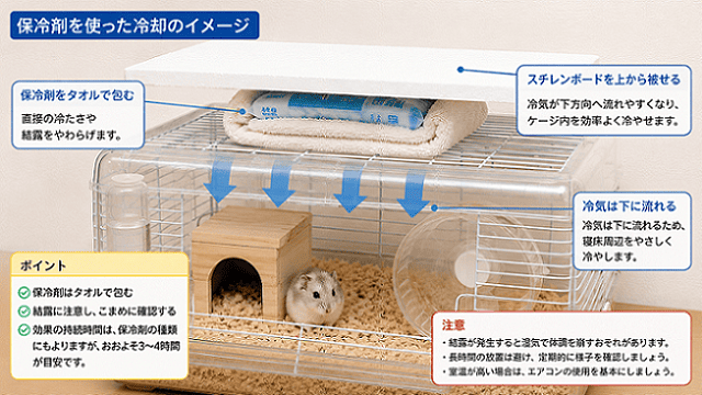 保冷剤を設置するときの具体的なイメージ画像