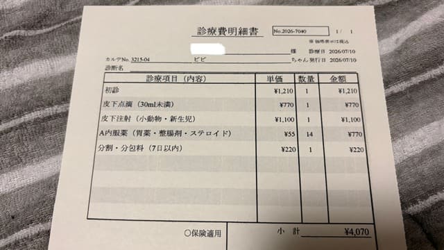 ハムスターの腸閉塞の治療代がわかる明細の写真