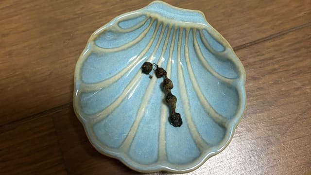 毛で5つの便が繋がった写真